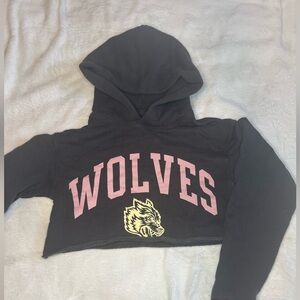 Darc Sport Black Hoodie with Pink and Yellow Wolves Design